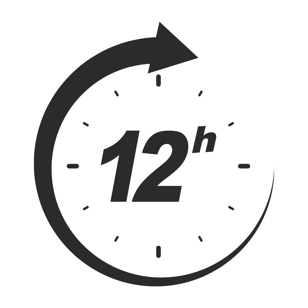 Song Express completion in 12 hours